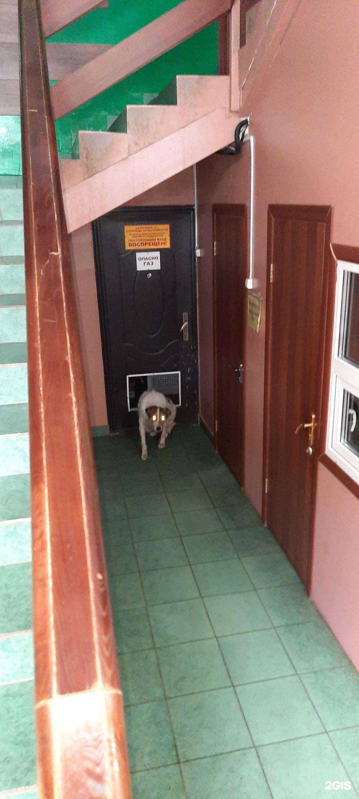 Отзывы на компанию Проект-Мастер в г. Уфа c фото