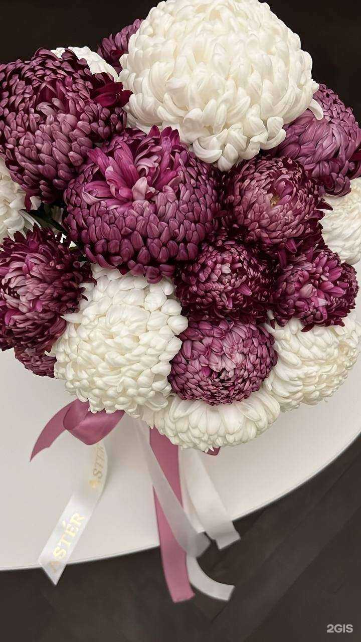 Отзывы на компанию Aster в Ставрополе c фото