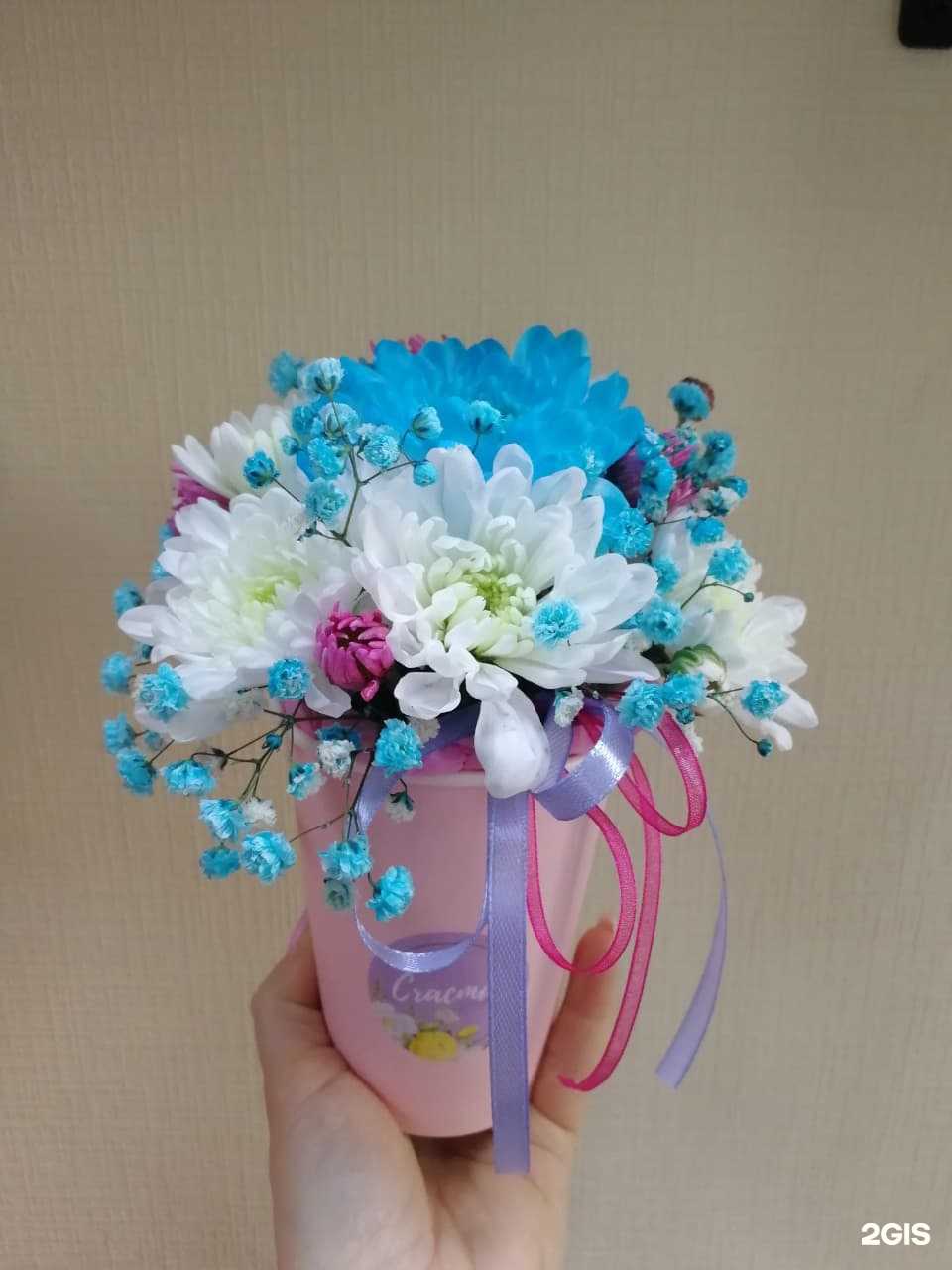 Отзывы на компанию Красный мак в г. Омск c фото