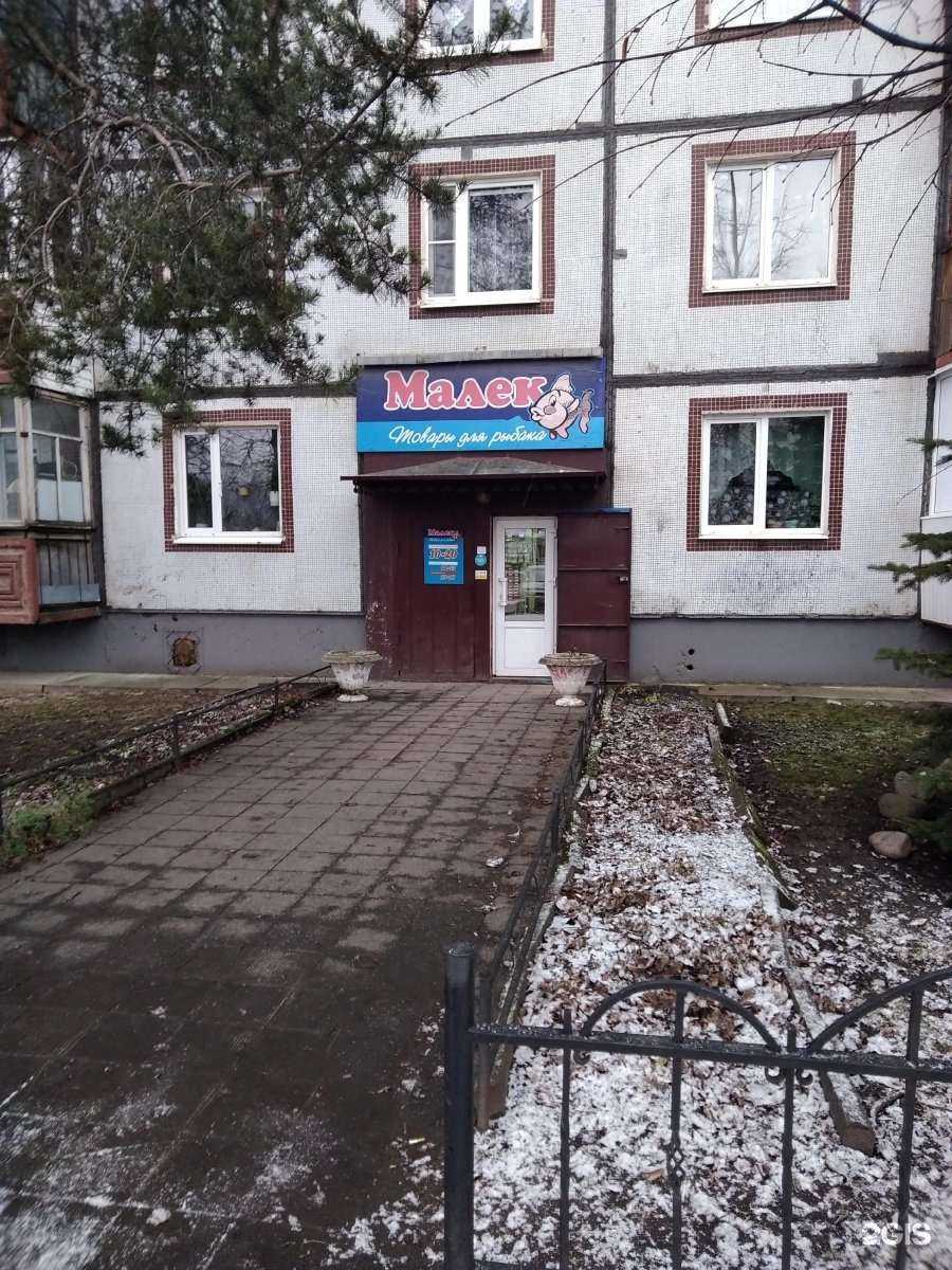 Отзывы на компанию Малёк в Великом Новгороде c фото