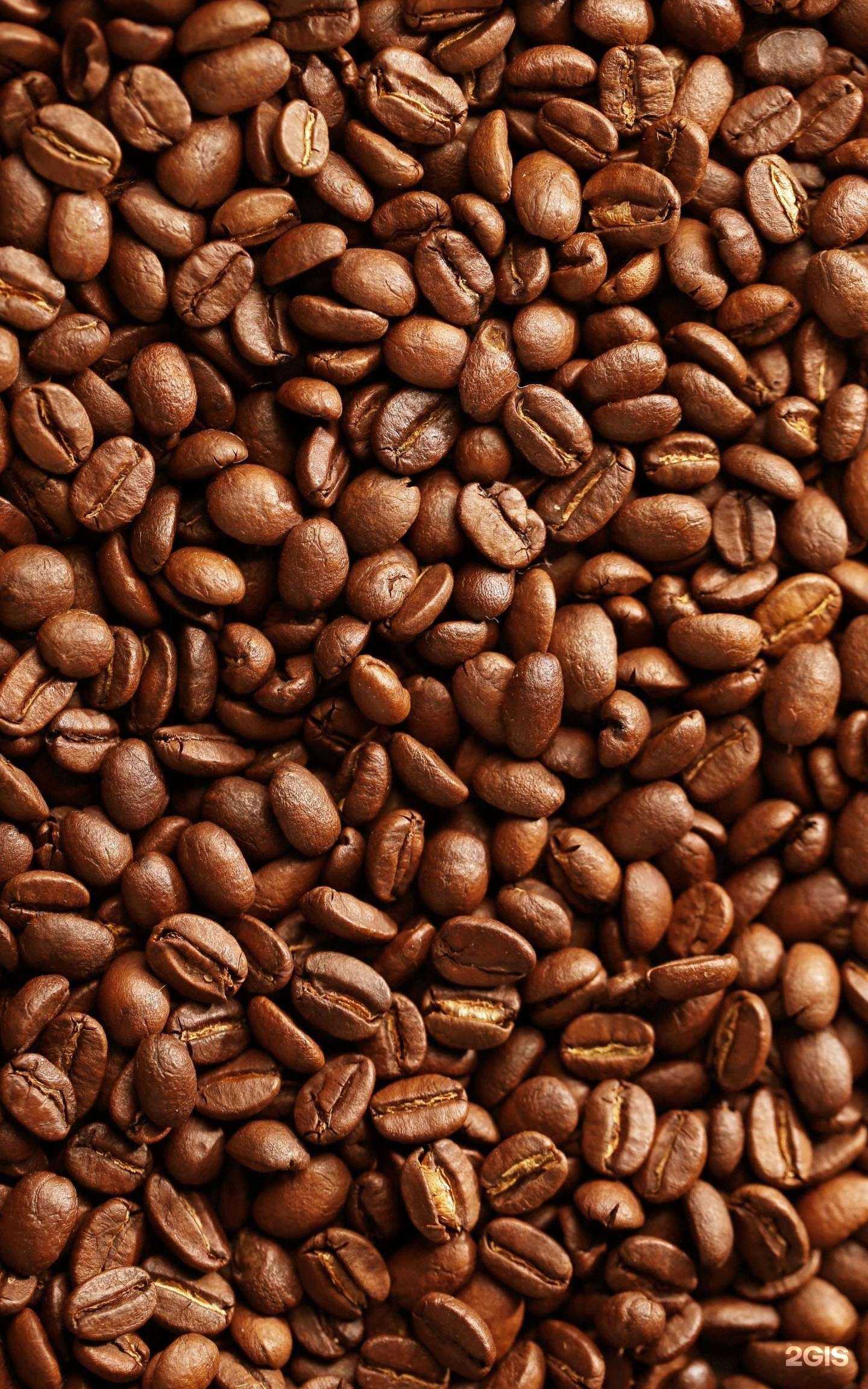 Отзывы на компанию Арабика в Нефтеюганске c фото