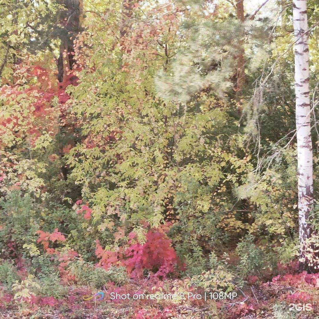 Отзывы на компанию Профлайн Сб в Тюмени c фото