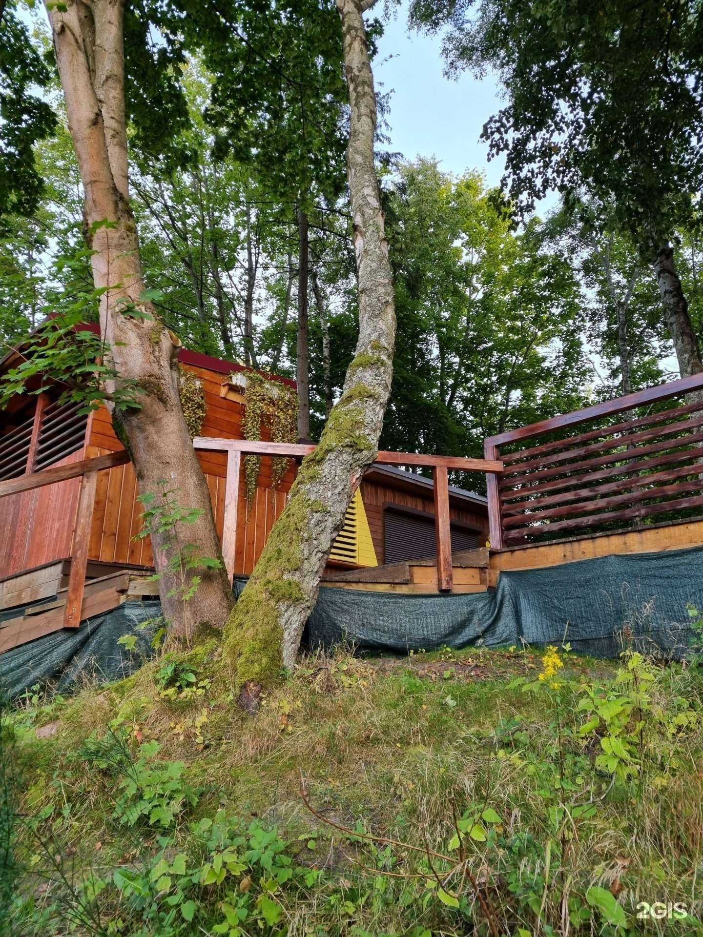 Отзывы на компанию Престиж в г. Светлогорск c фото