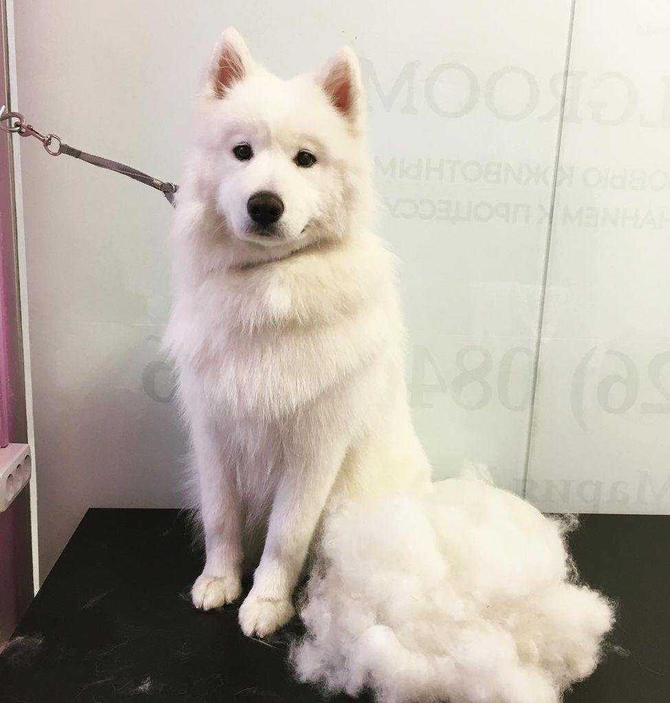 Отзывы на компанию Solgroom в Солнечногорске c фото