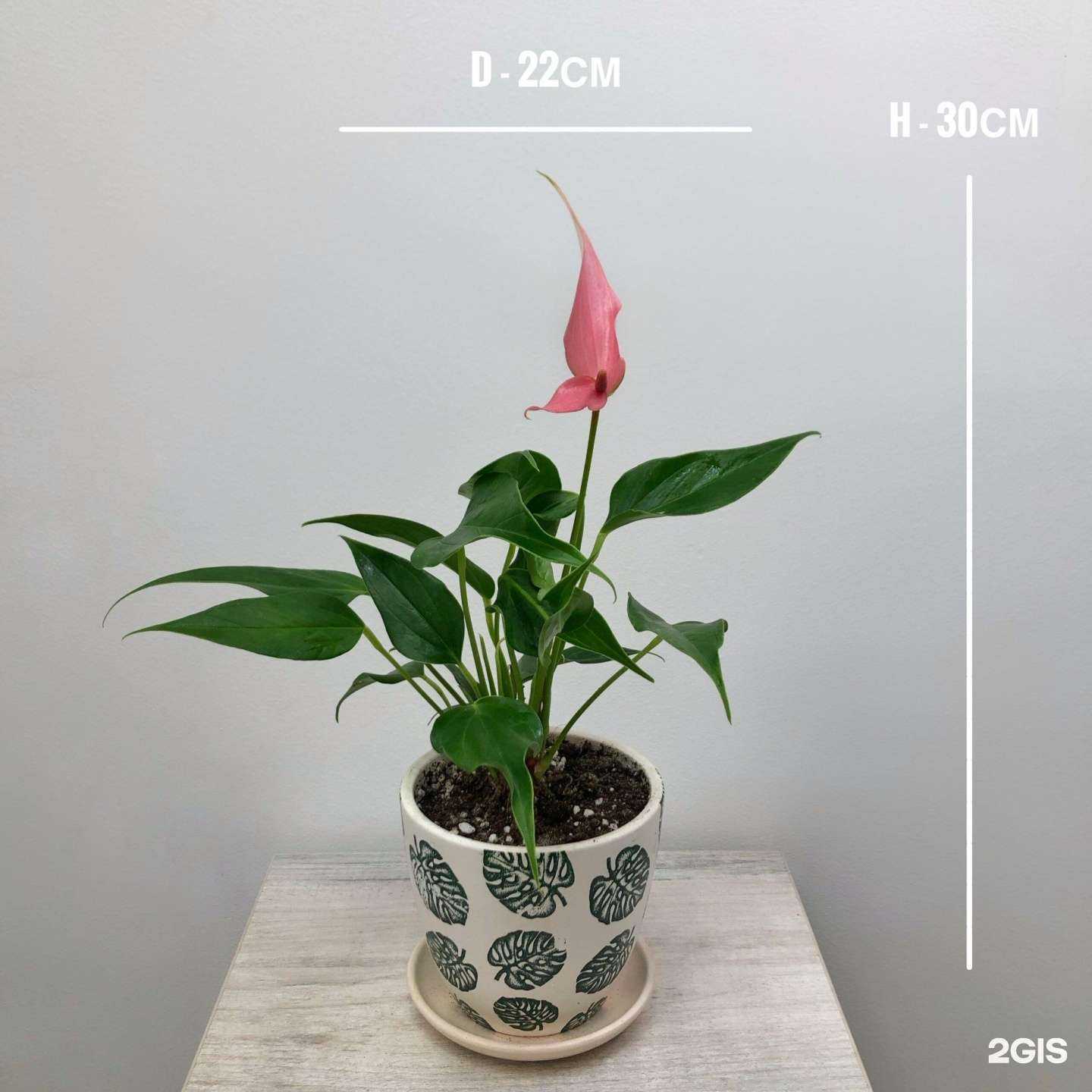 Отзывы на компанию GreenStudio в г. Волжский c фото