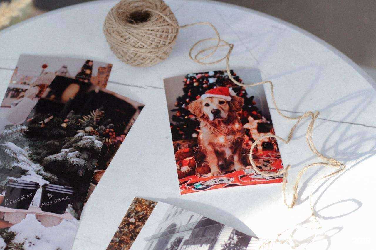 Отзывы на компанию Фото-Копи в Волгограде c фото