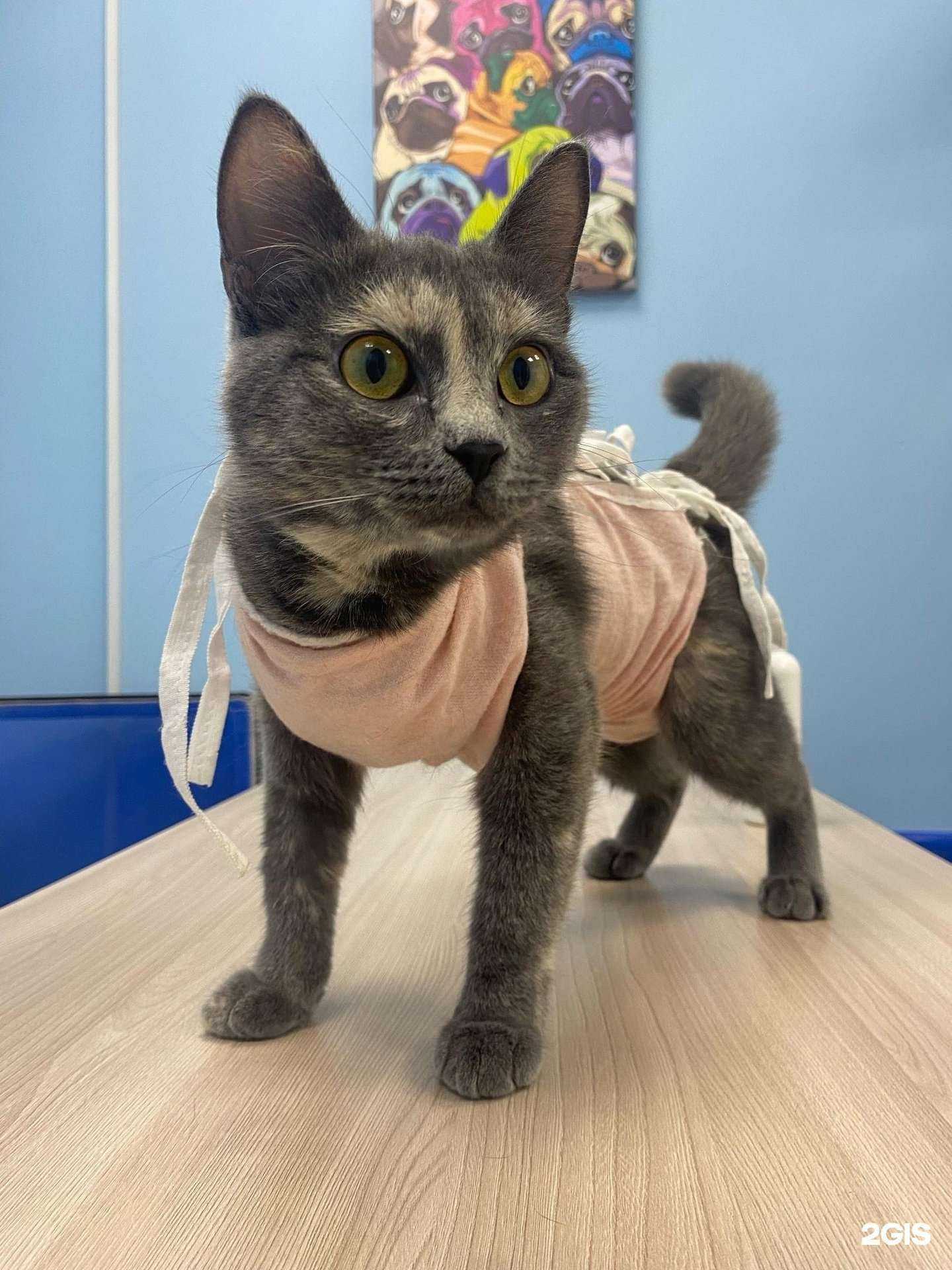 Отзывы на компанию Гармония в г. Челябинск c фото