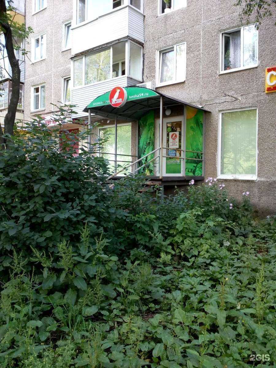 Отзывы на компанию Кеша в Перми c фото