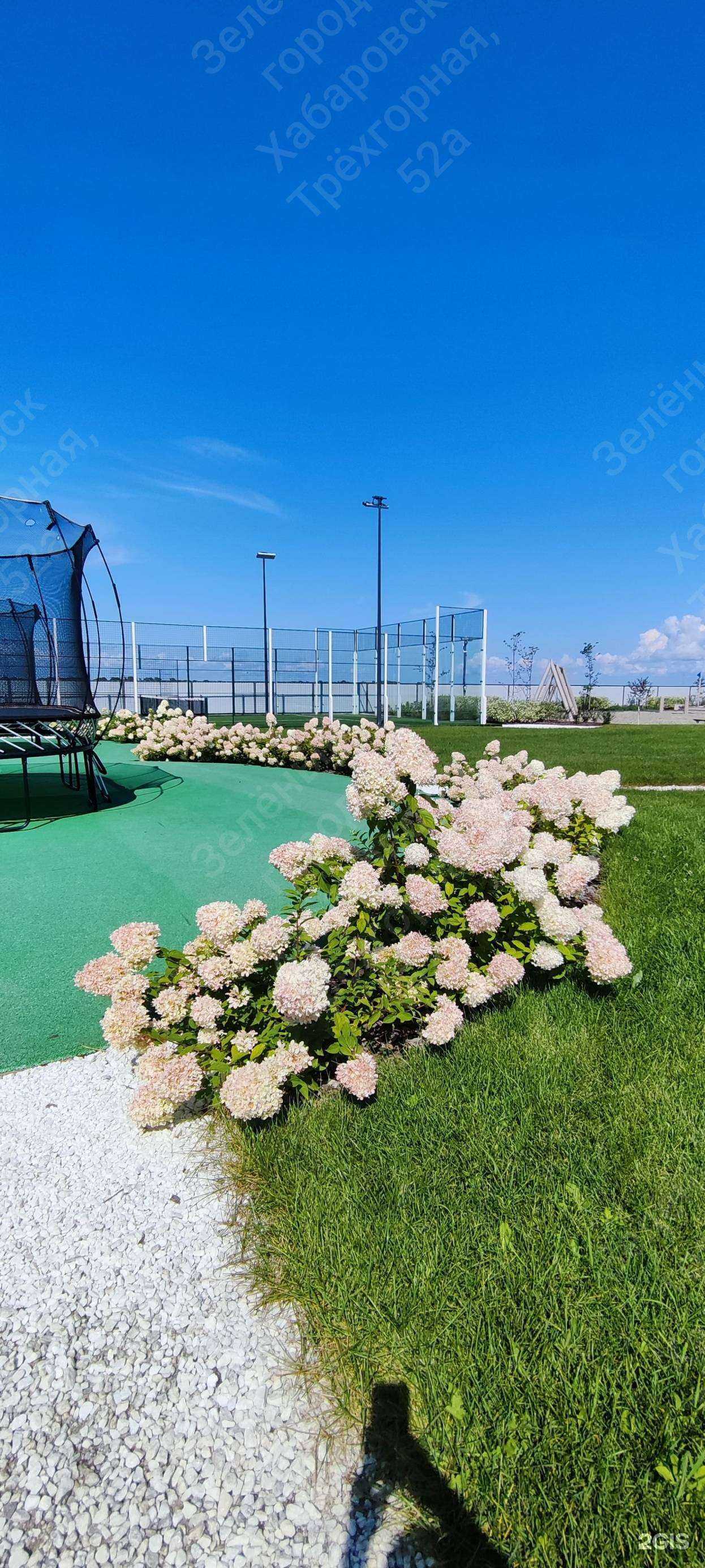 Отзывы на компанию Зеленый город в Хабаровске c фото