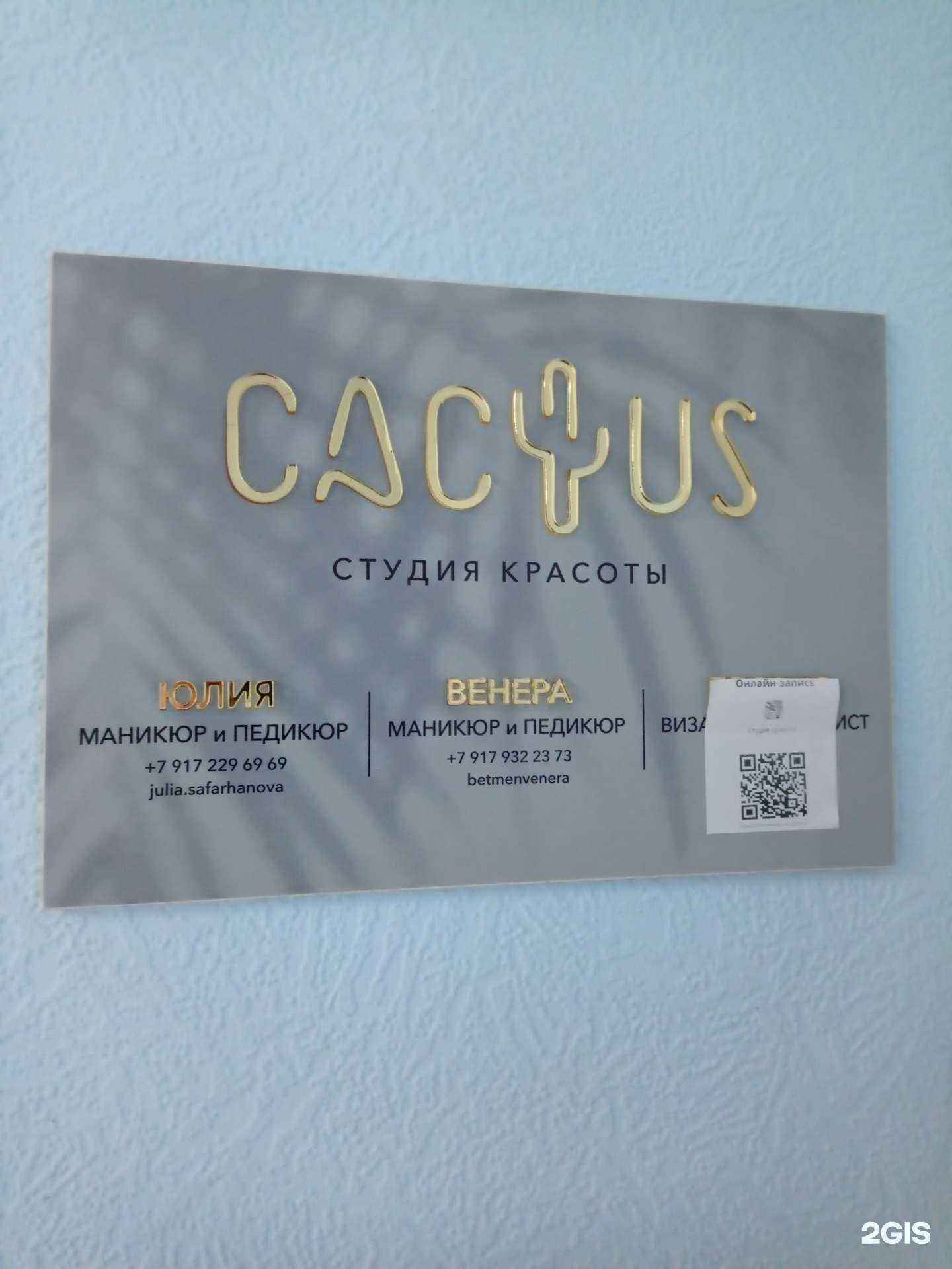 Отзывы на компанию Cactus в Альметьевске c фото