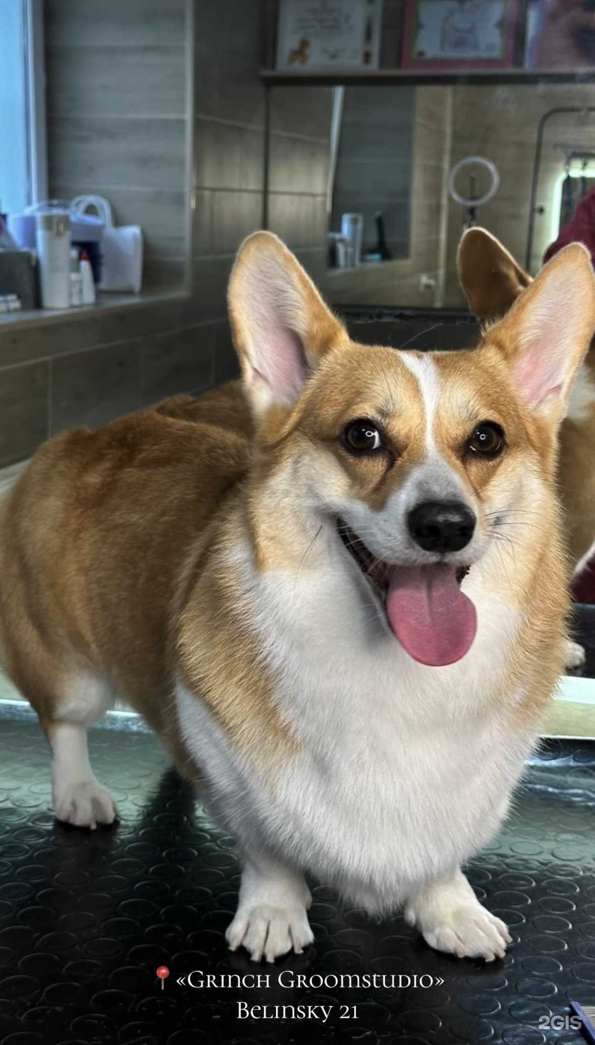 Отзывы на компанию Grinch в г. Калининград c фото