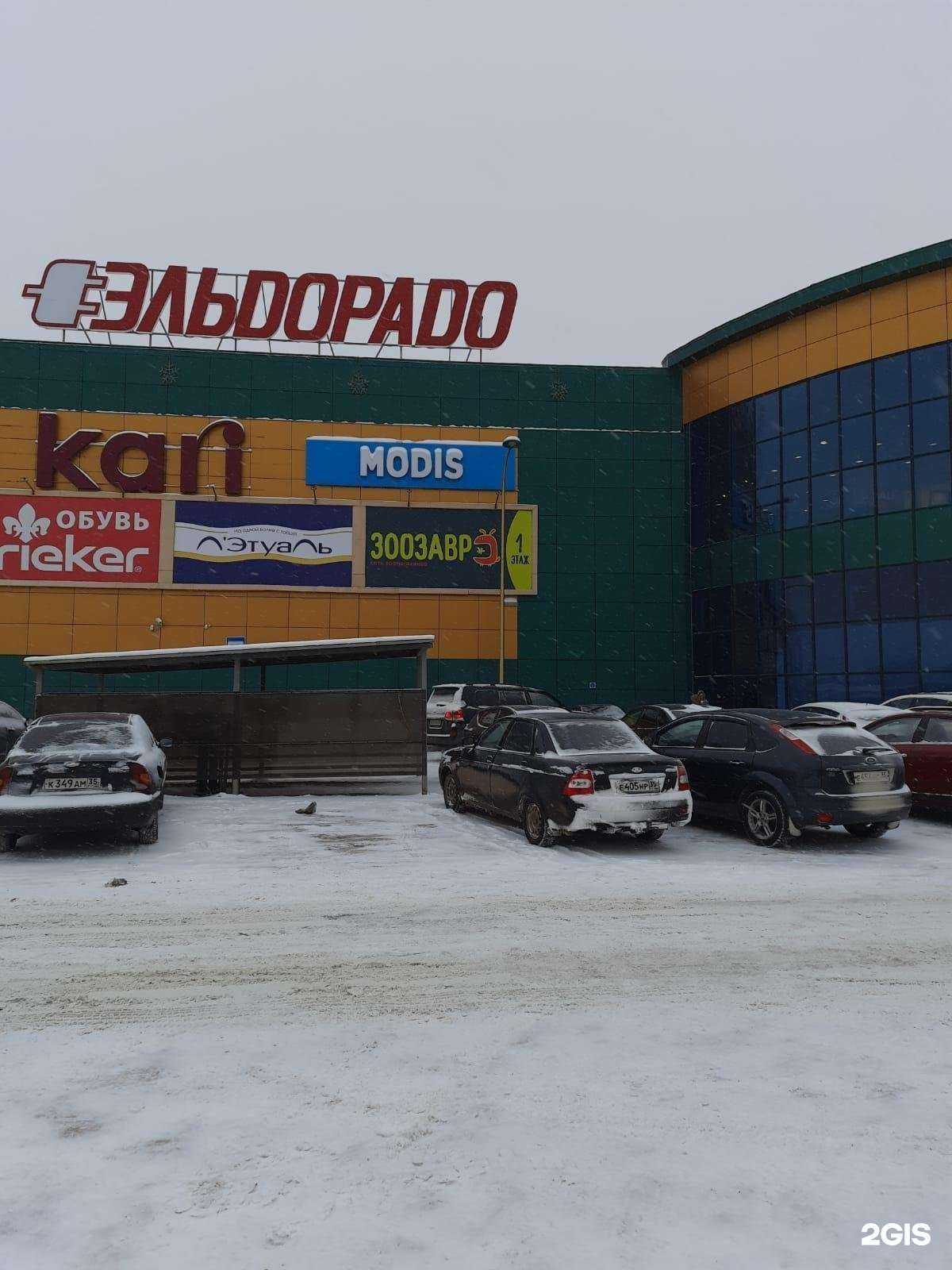 Отзывы на компанию Зоозавр в Вологде c фото