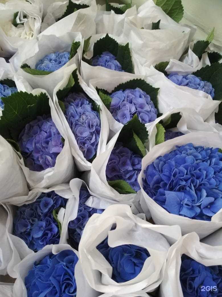 Отзывы на компанию Орхидея в Лыткарине c фото