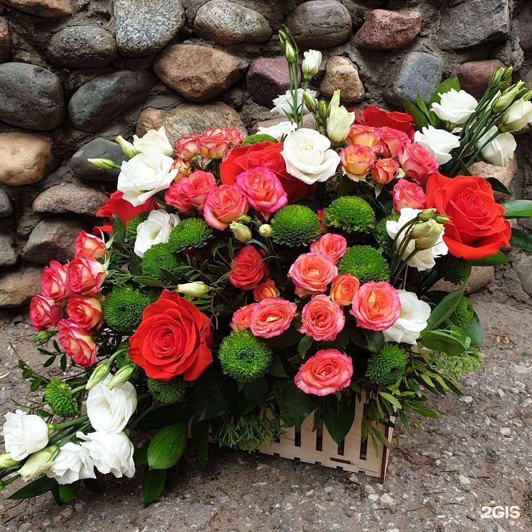 Отзывы на компанию TLTbuket в Тольятти c фото