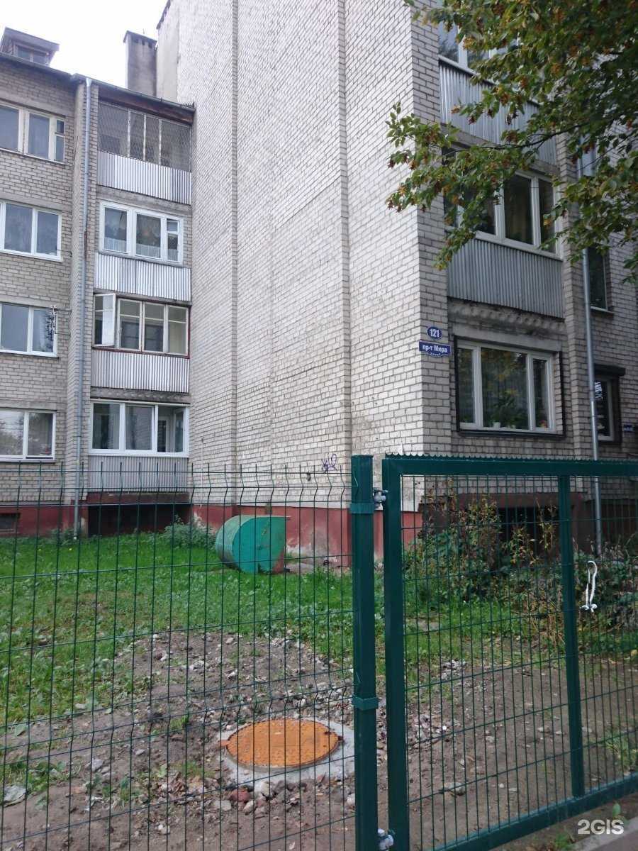 Отзывы на компанию Панда в Калининграде c фото - фотография 3 из 3