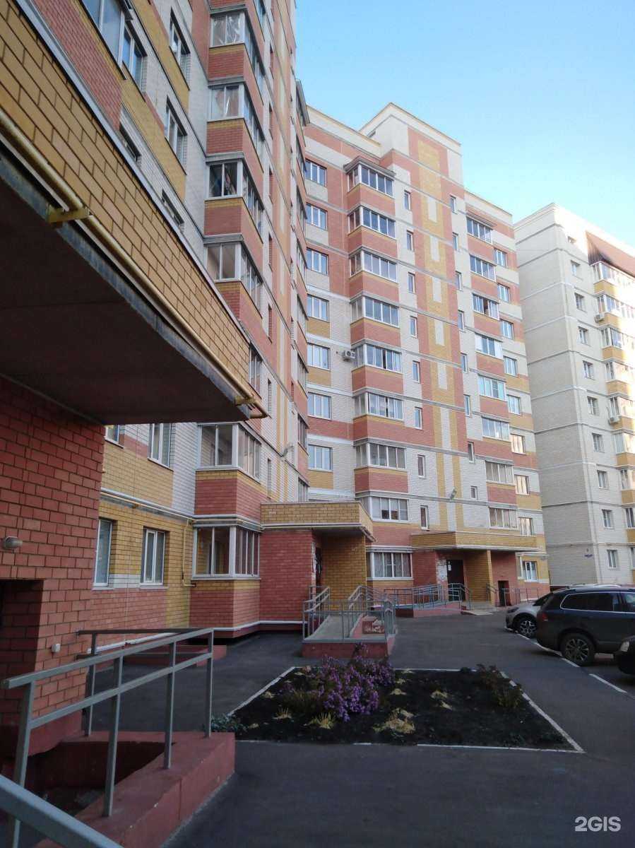 Отзывы на компанию Item-Web в Тамбове c фото