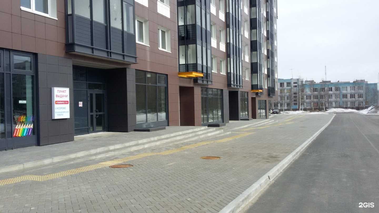 Отзывы на компанию Вырастайка в Петрозаводске c фото - фотография 2 из 2