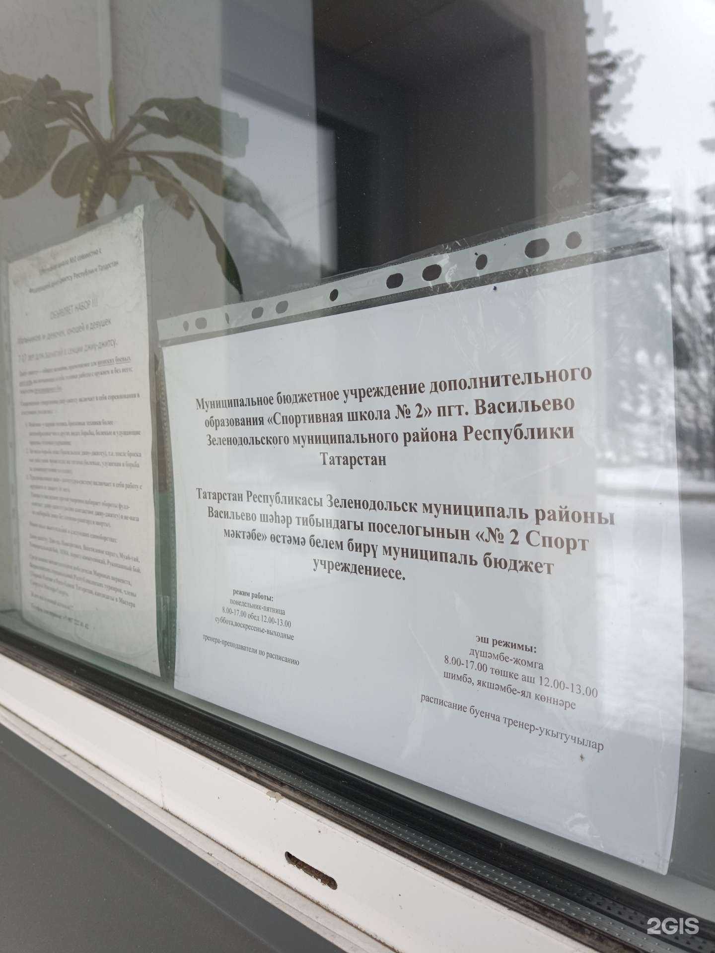 Отзывы на компанию Спортивная школа №2 Зеленодольского муниципального района республики Татарстан в г. Зеленодольск c фото