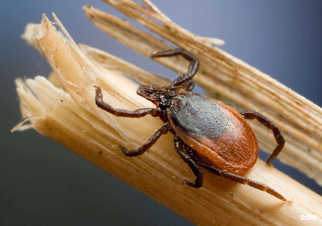 Отзывы на компанию Консультационный центр по правам потребителей в Перми c фото