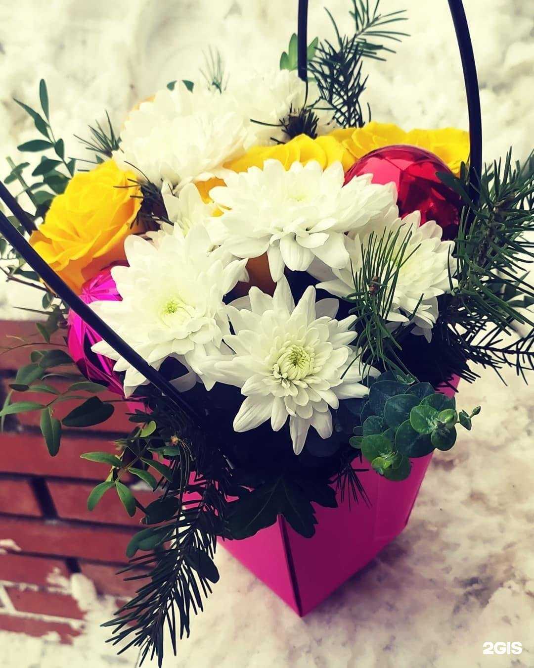 Отзывы на компанию Анна в г. Новосибирск c фото