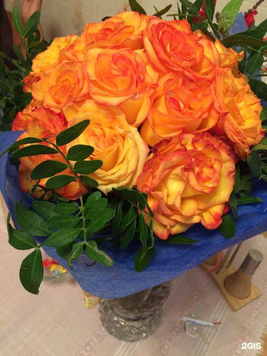 Отзывы на компанию Элен в Екатеринбурге c фото