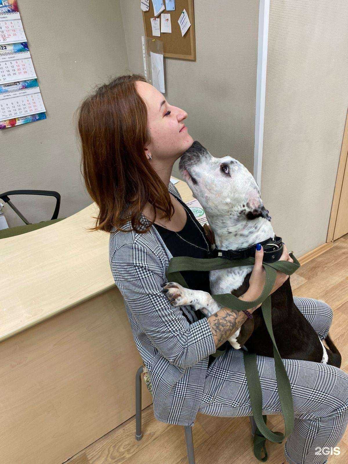 Отзывы на компанию ЗооКлиник в г. Томск c фото