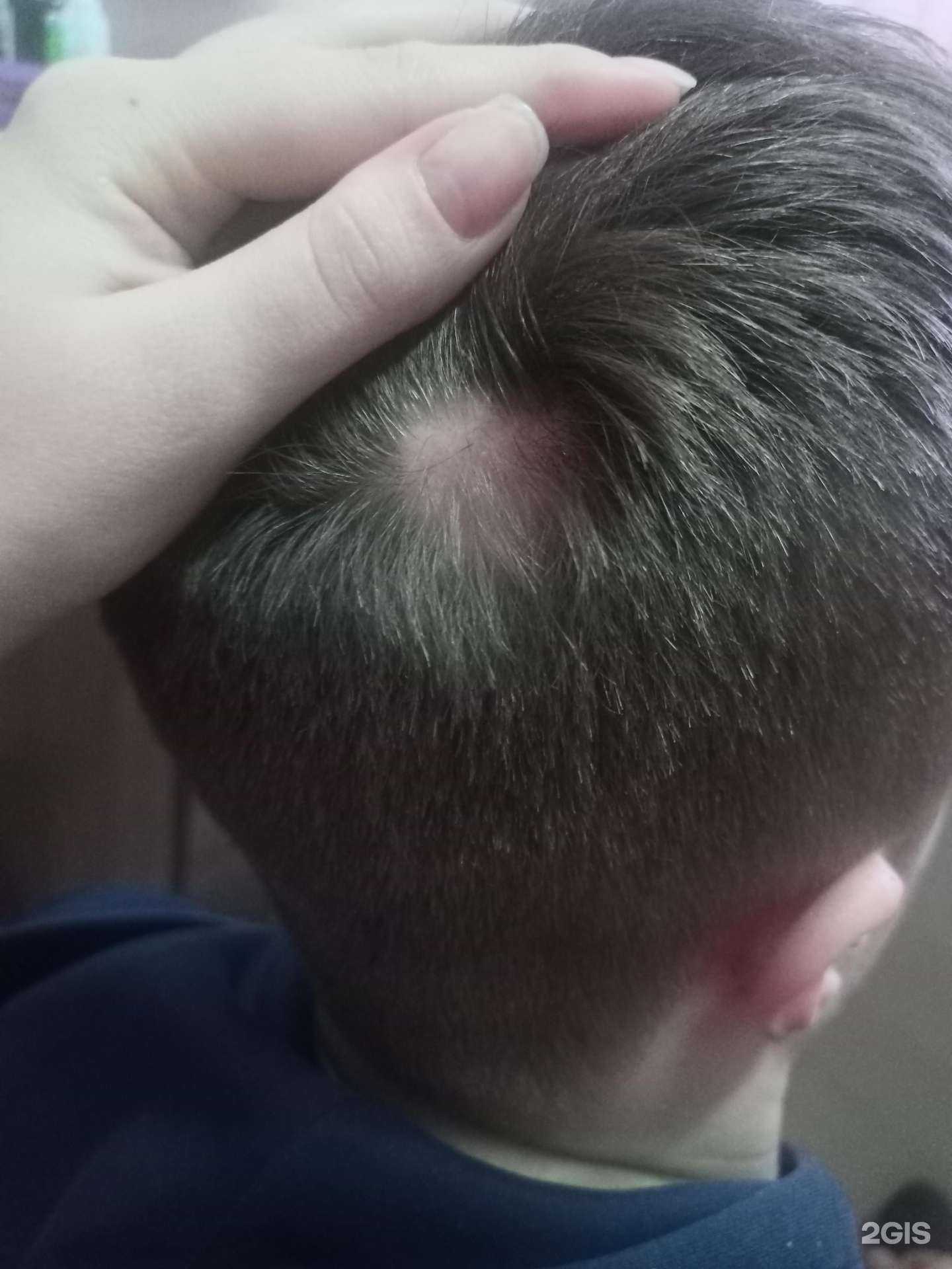 Отзывы на компанию Эстель в Петрозаводске c фото