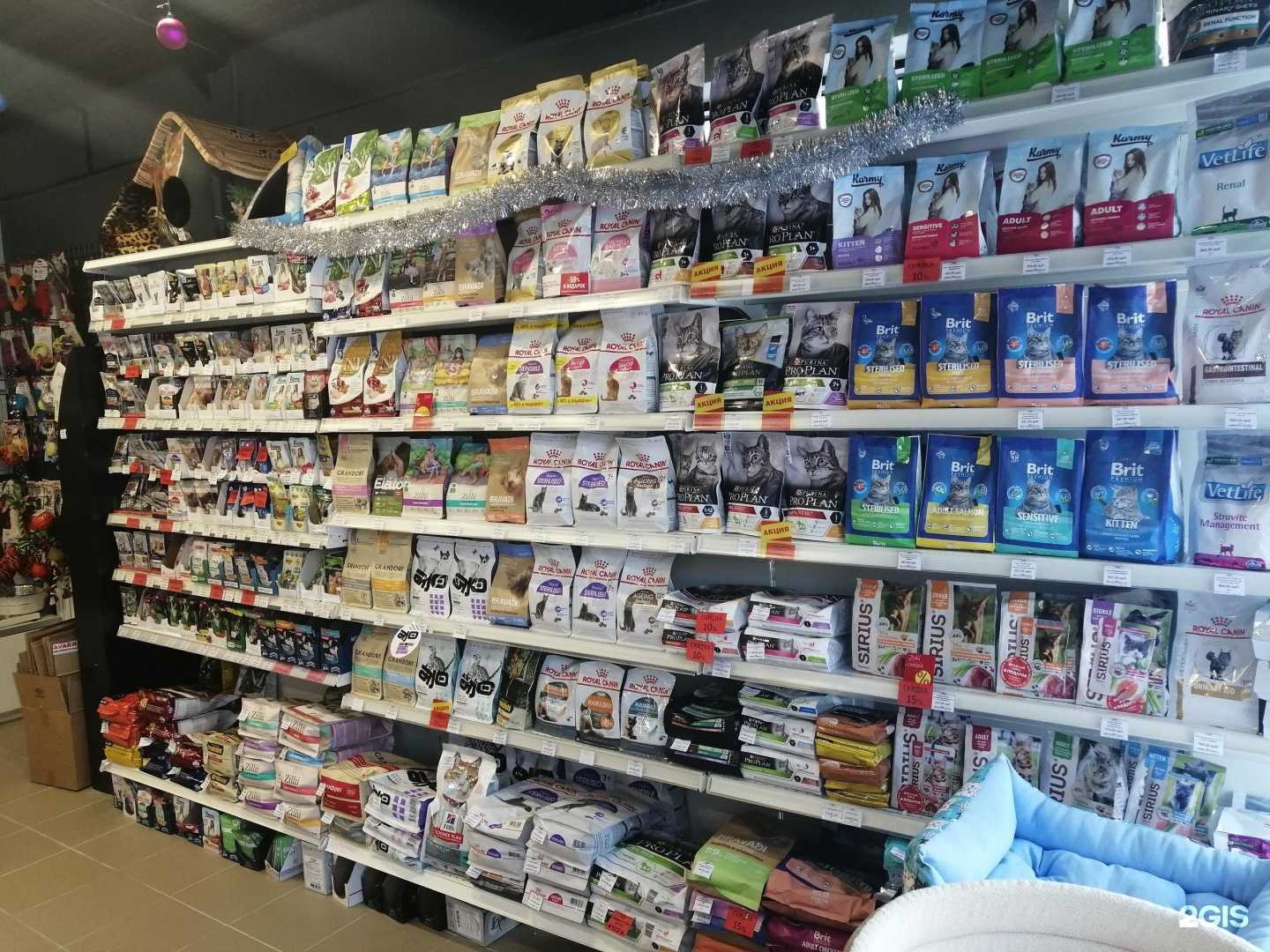 Отзывы на компанию Zoki в Кирове-Чепецке c фото