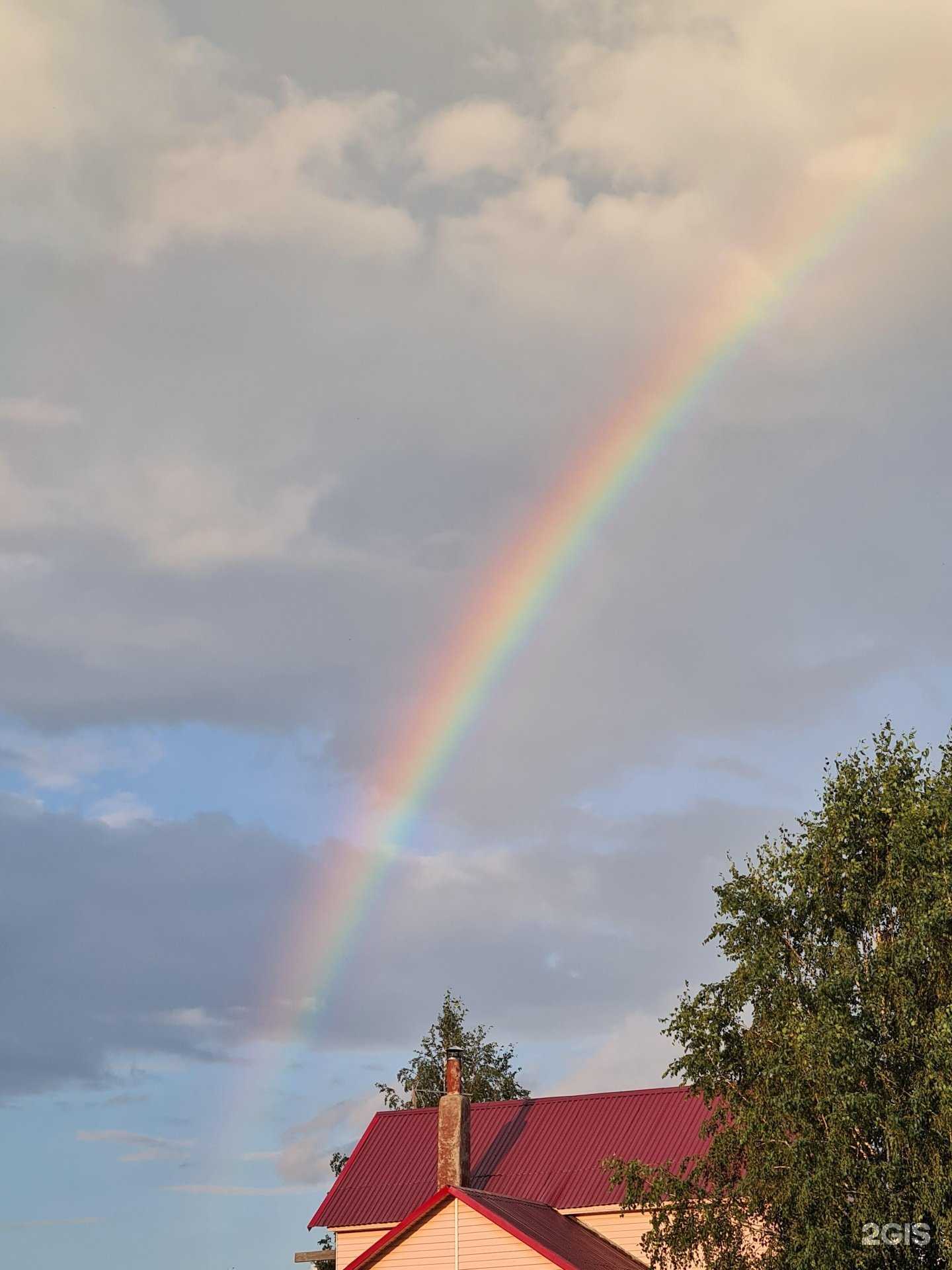 Отзывы на компанию Самолет Плюс в Новосибирске c фото
