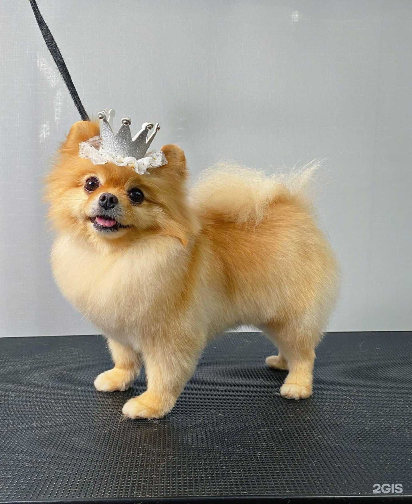 Отзывы на компанию Нам покороче в г. Ярославль c фото