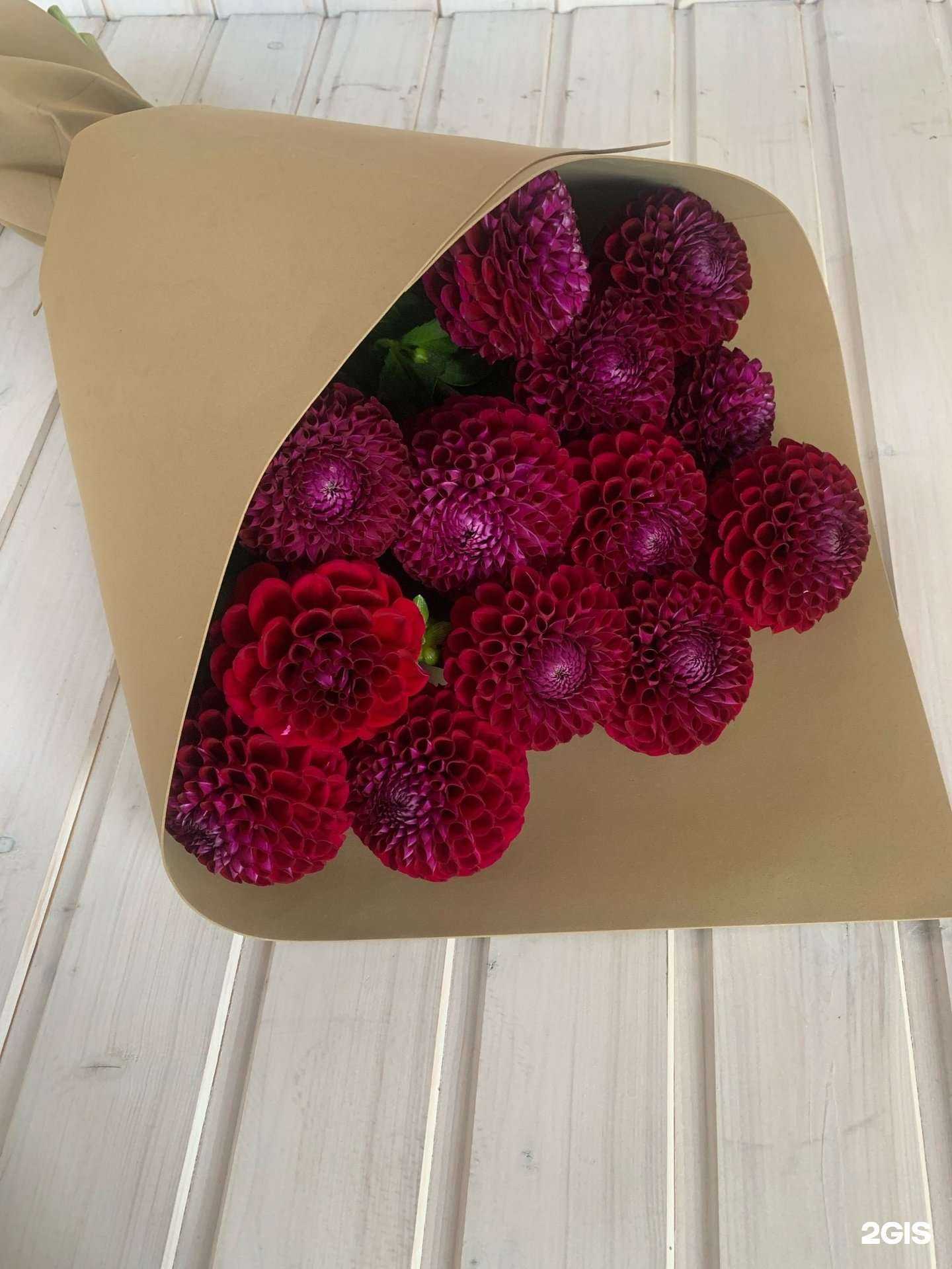 Отзывы на компанию Лаванда Бурбонова в г. Курган c фото