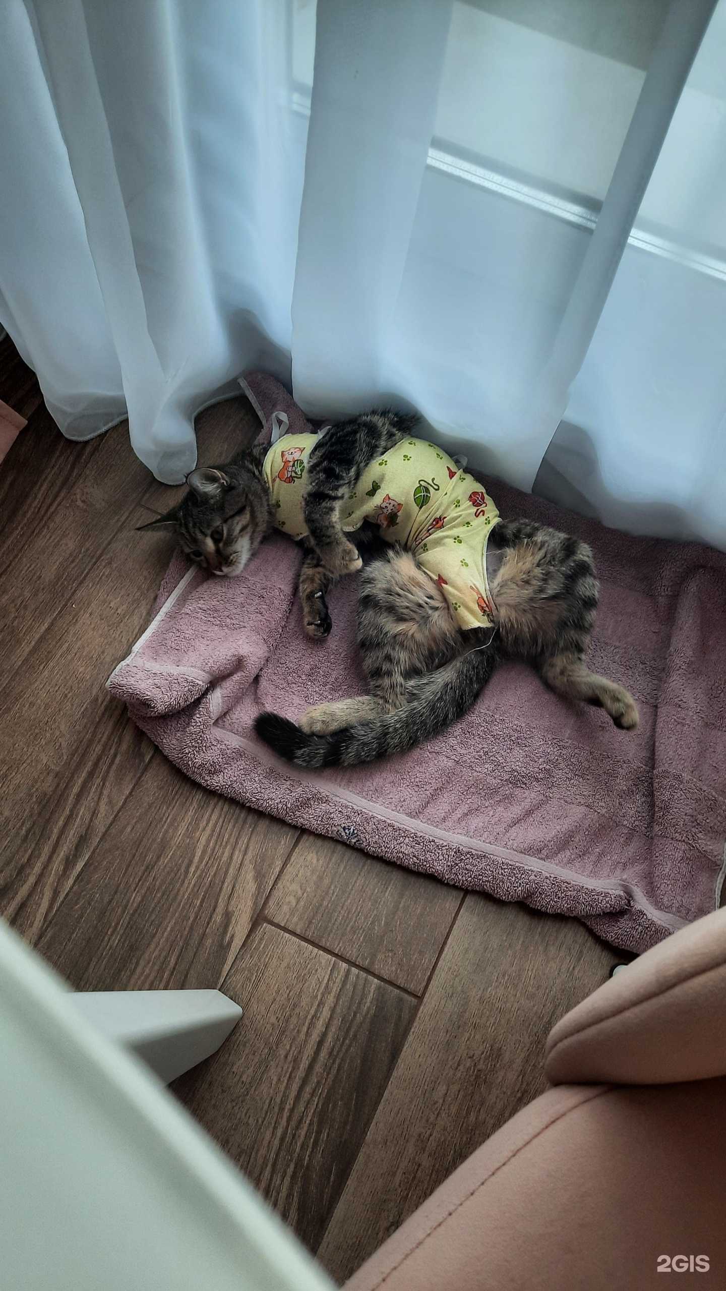 Отзывы на компанию Альфа-вет в г. Новосибирск c фото