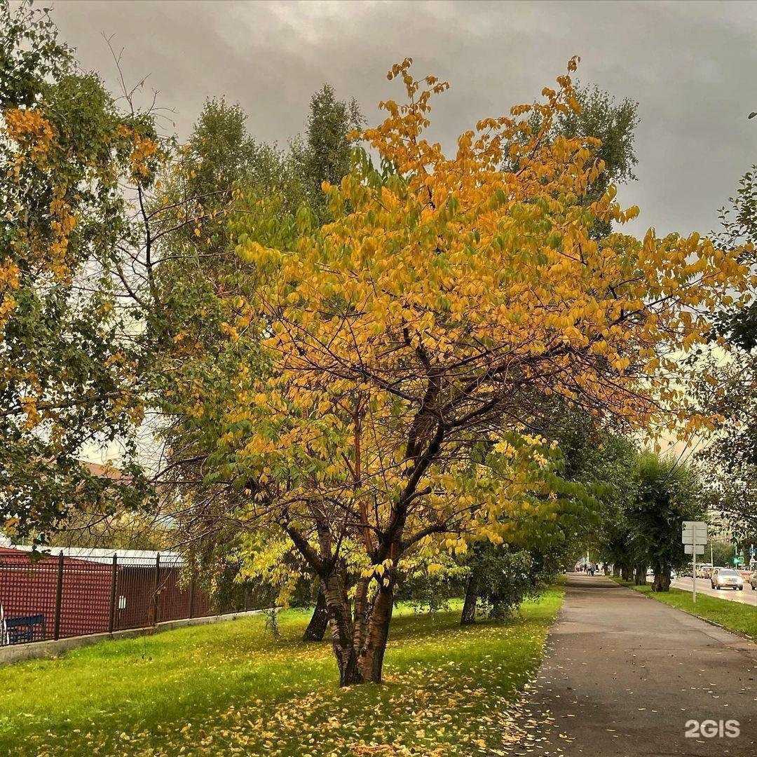 Отзывы на компанию Игра-Сервис в Ульяновске c фото