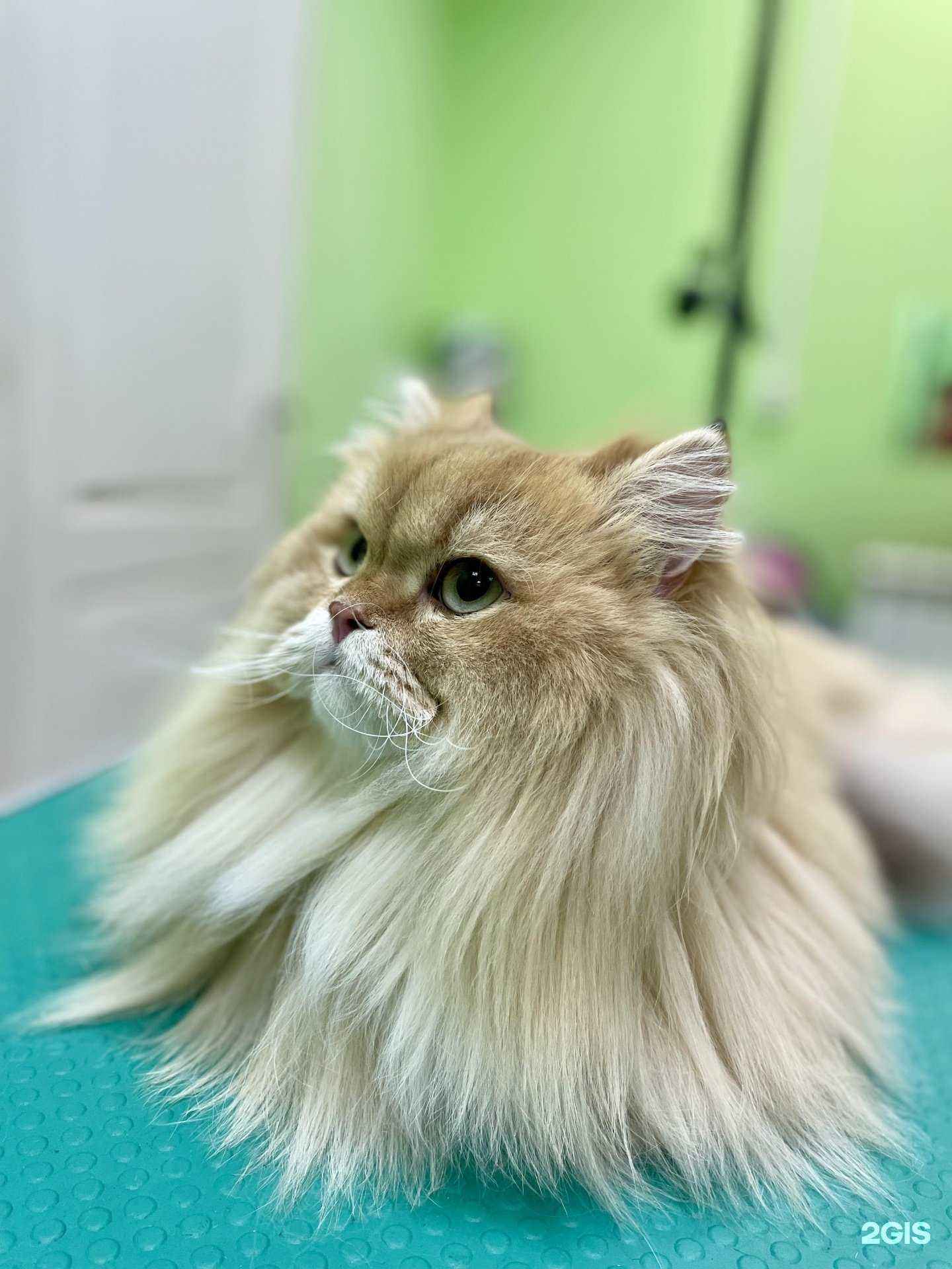 Отзывы на компанию Артемон в Вологде c фото