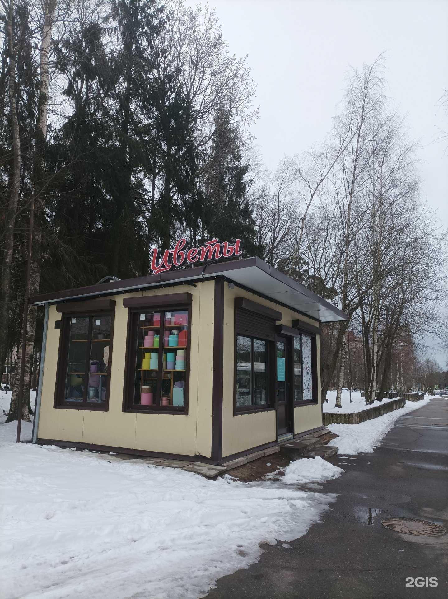 Отзывы на компанию Лови букет в Сосновом Боре c фото