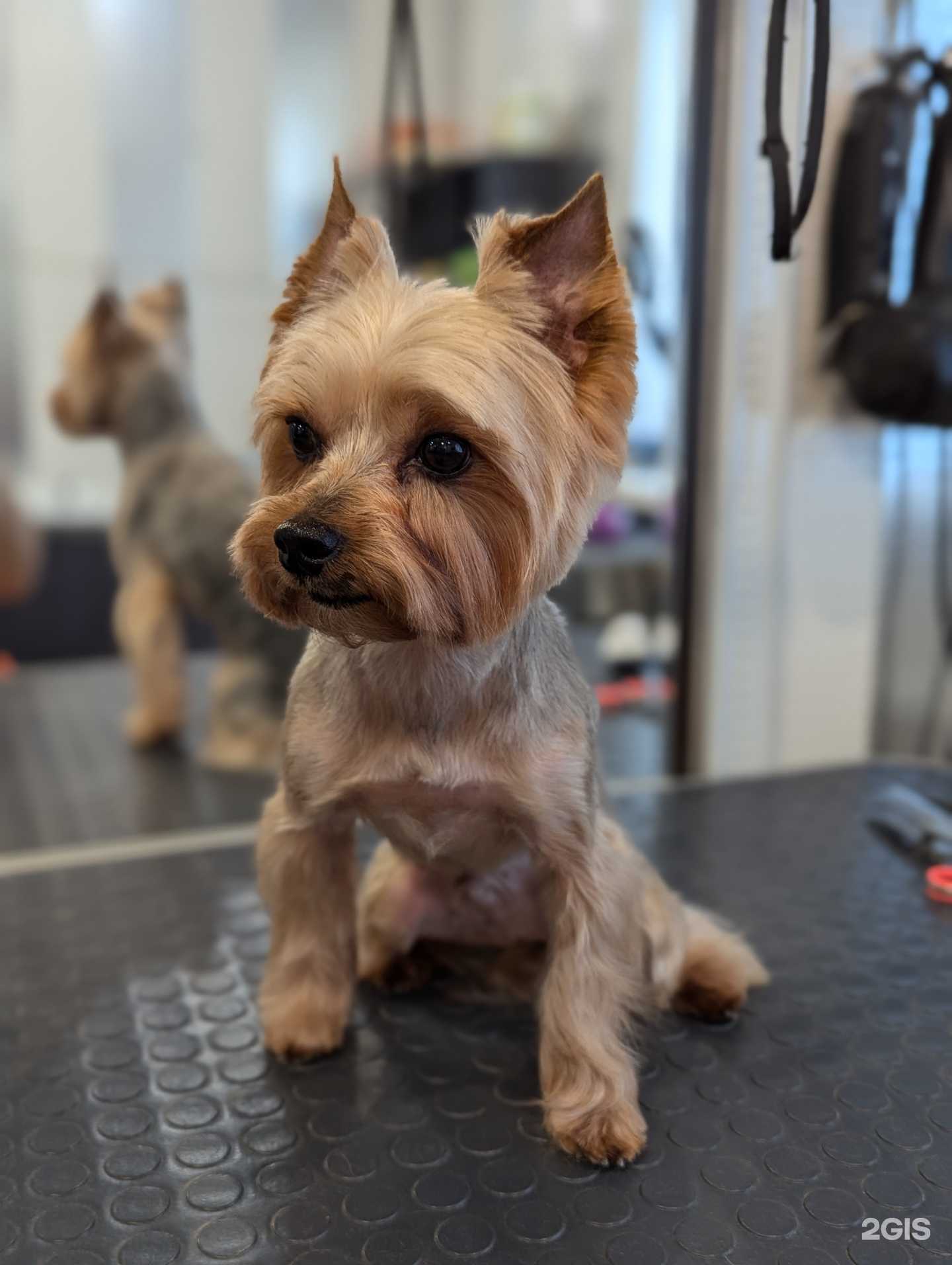 Отзывы на компанию Мира в Губахе c фото