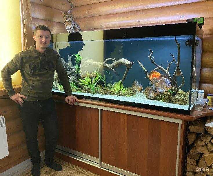Отзывы на компанию Аквариумная Мастерская в Великом Новгороде c фото