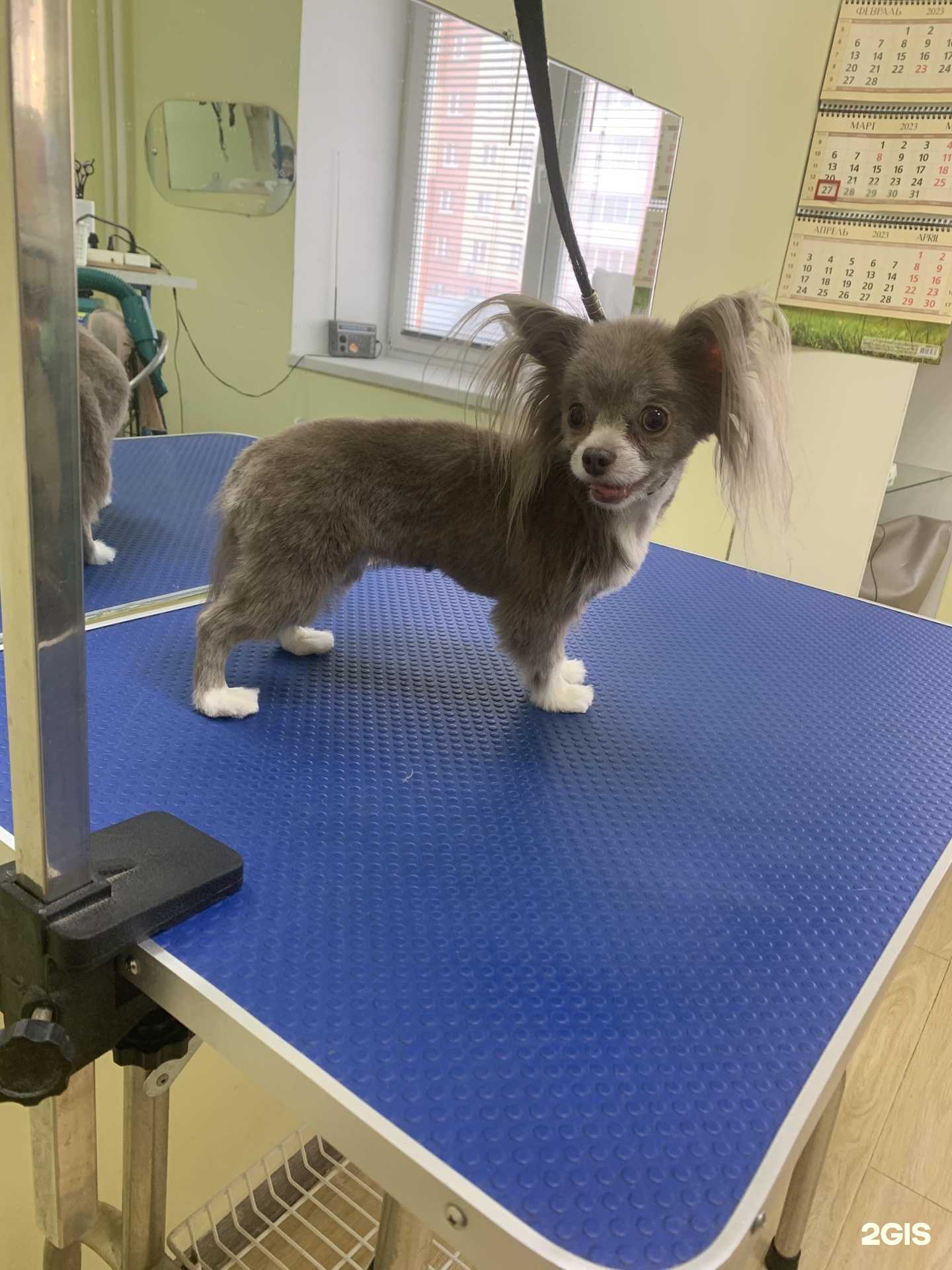 Отзывы на компанию Бетховен в г. Миасс c фото