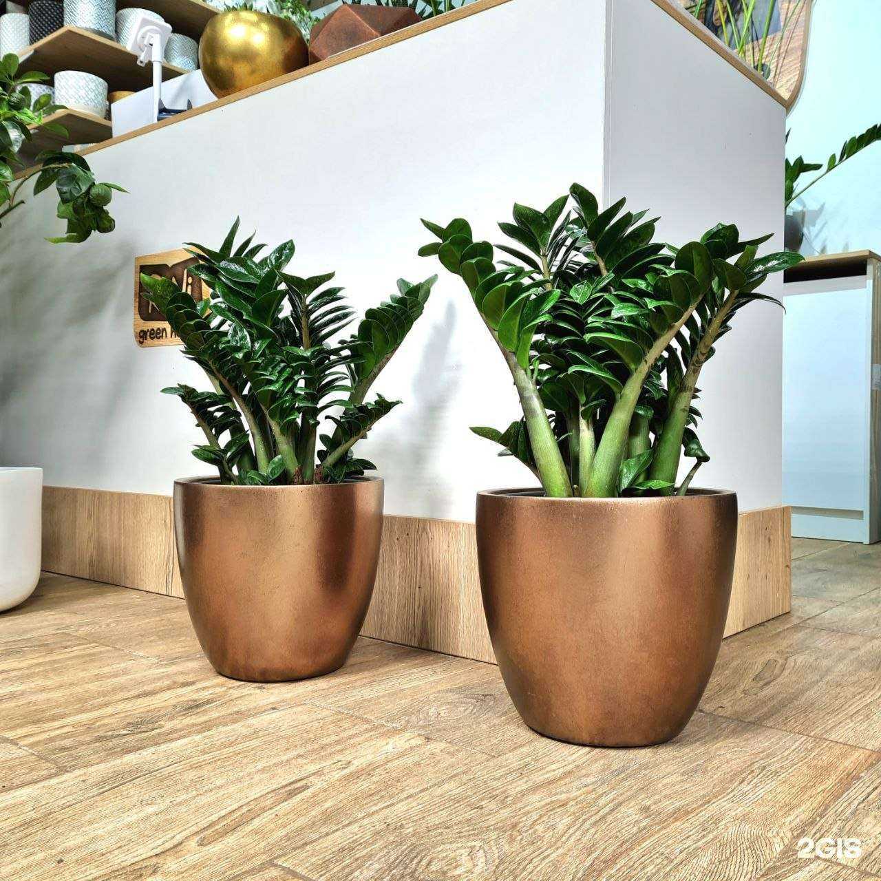 Отзывы на компанию Roni Green House в г. Котельники c фото