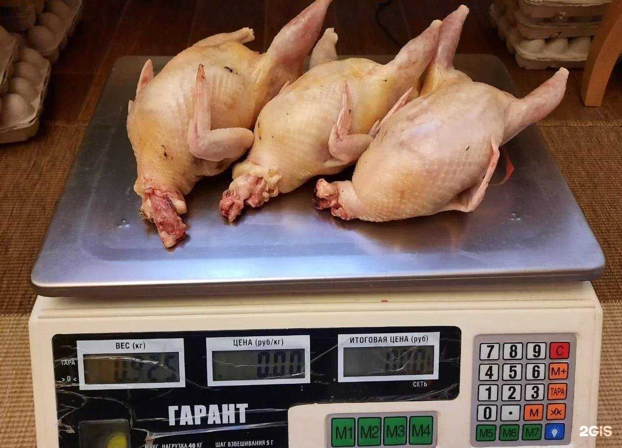 Отзывы на компанию Дон Перепелионе в г. Омск c фото