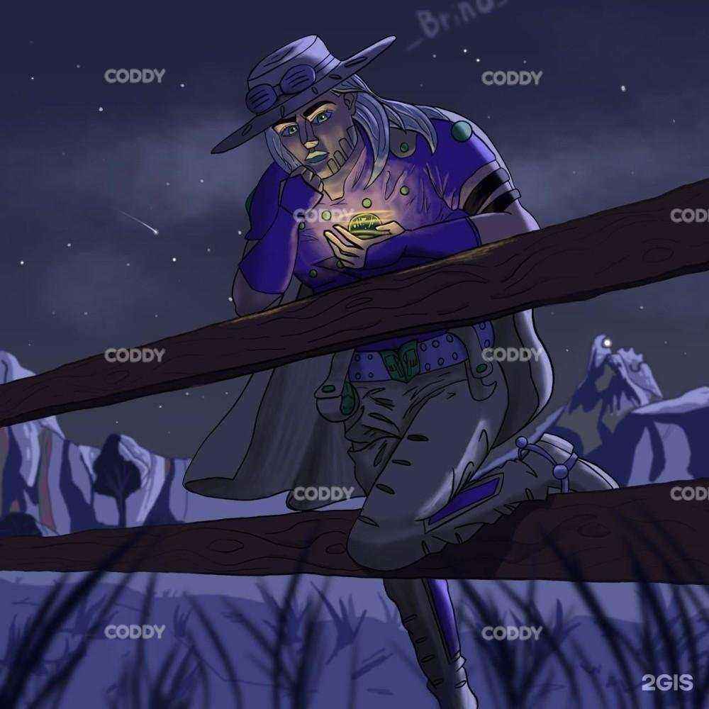 Отзывы на компанию Coddy в г. Балашиха c фото