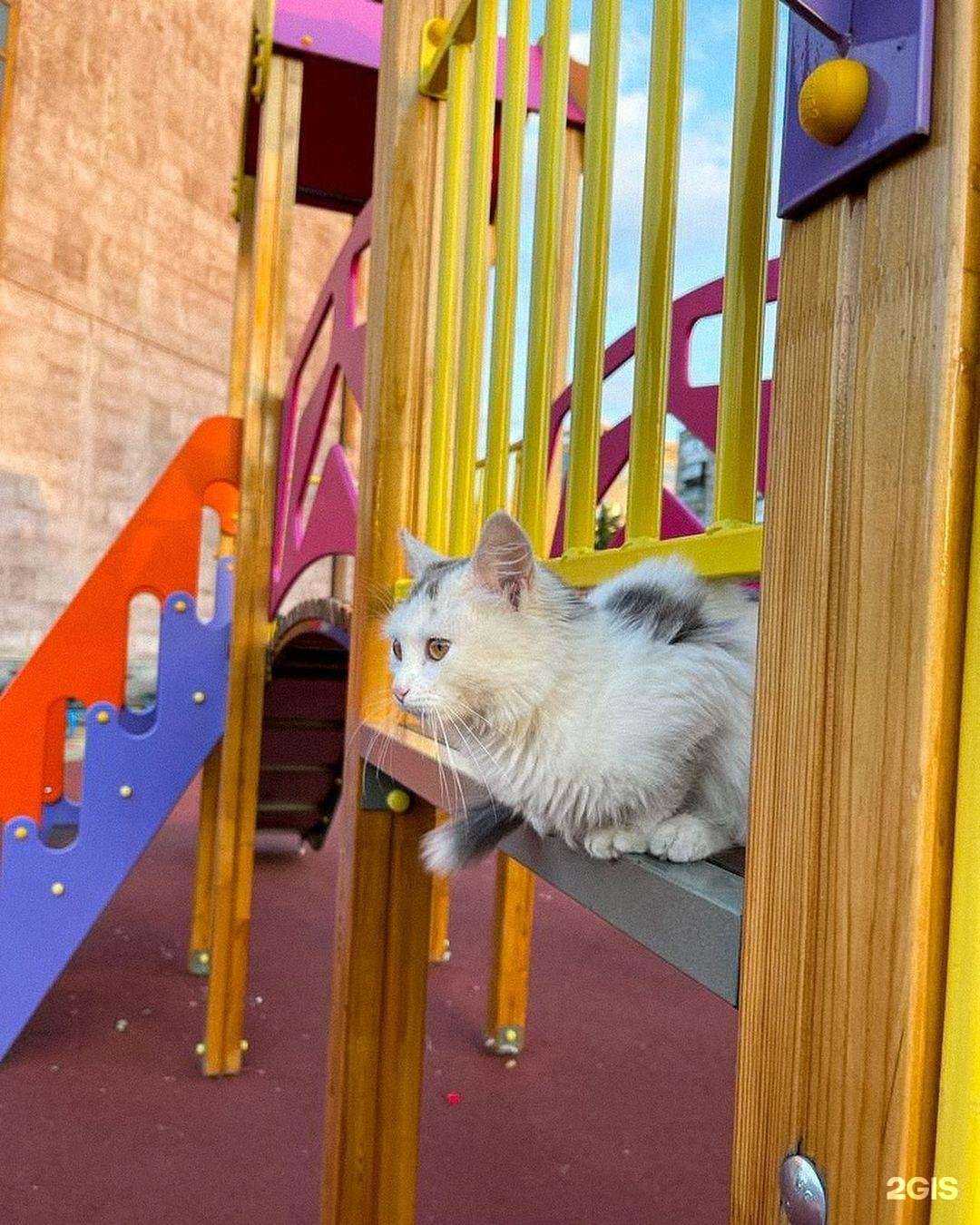 Отзывы на компанию Gremm Gar в г. Краснодар c фото