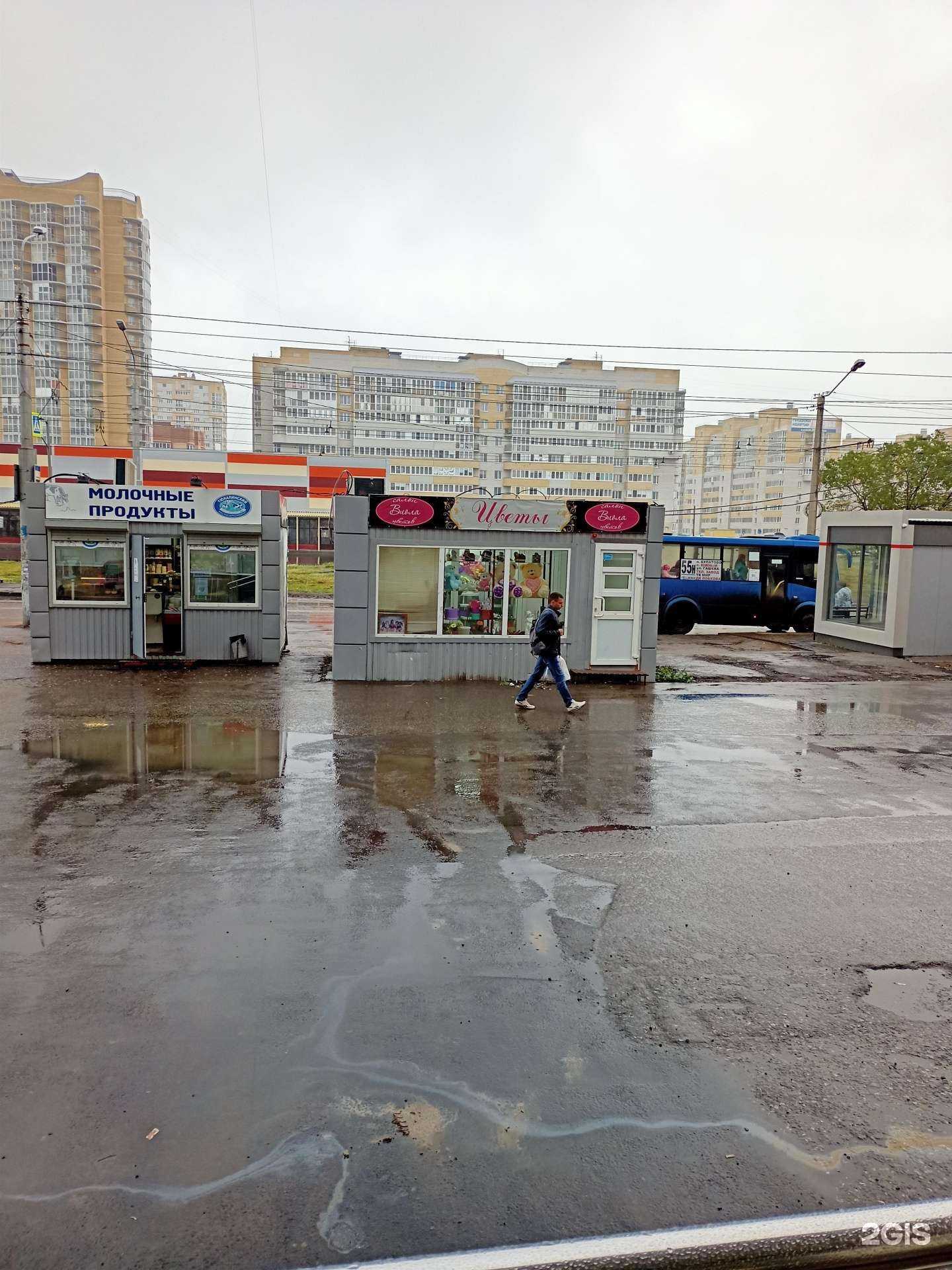 Отзывы на компанию Виола в г. Омск c фото