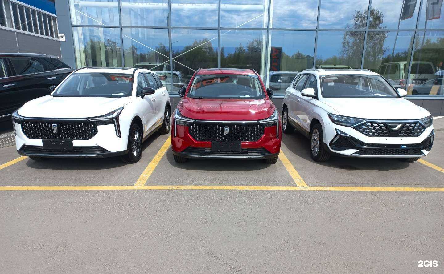 Отзывы на компанию Дайнава в Воронеже c фото