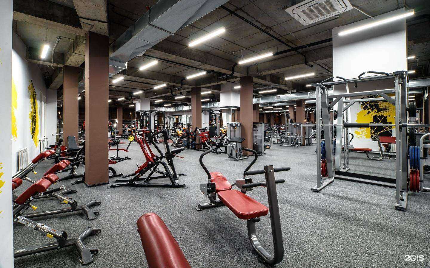 Отзывы на компанию Палестра в г. Архангельск c фото