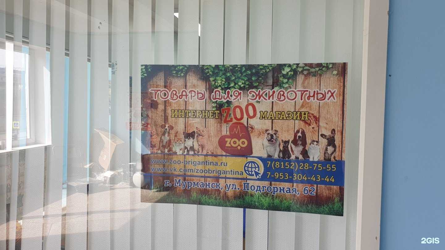 Отзывы на компанию Трезор51 в г. Мурманск c фото