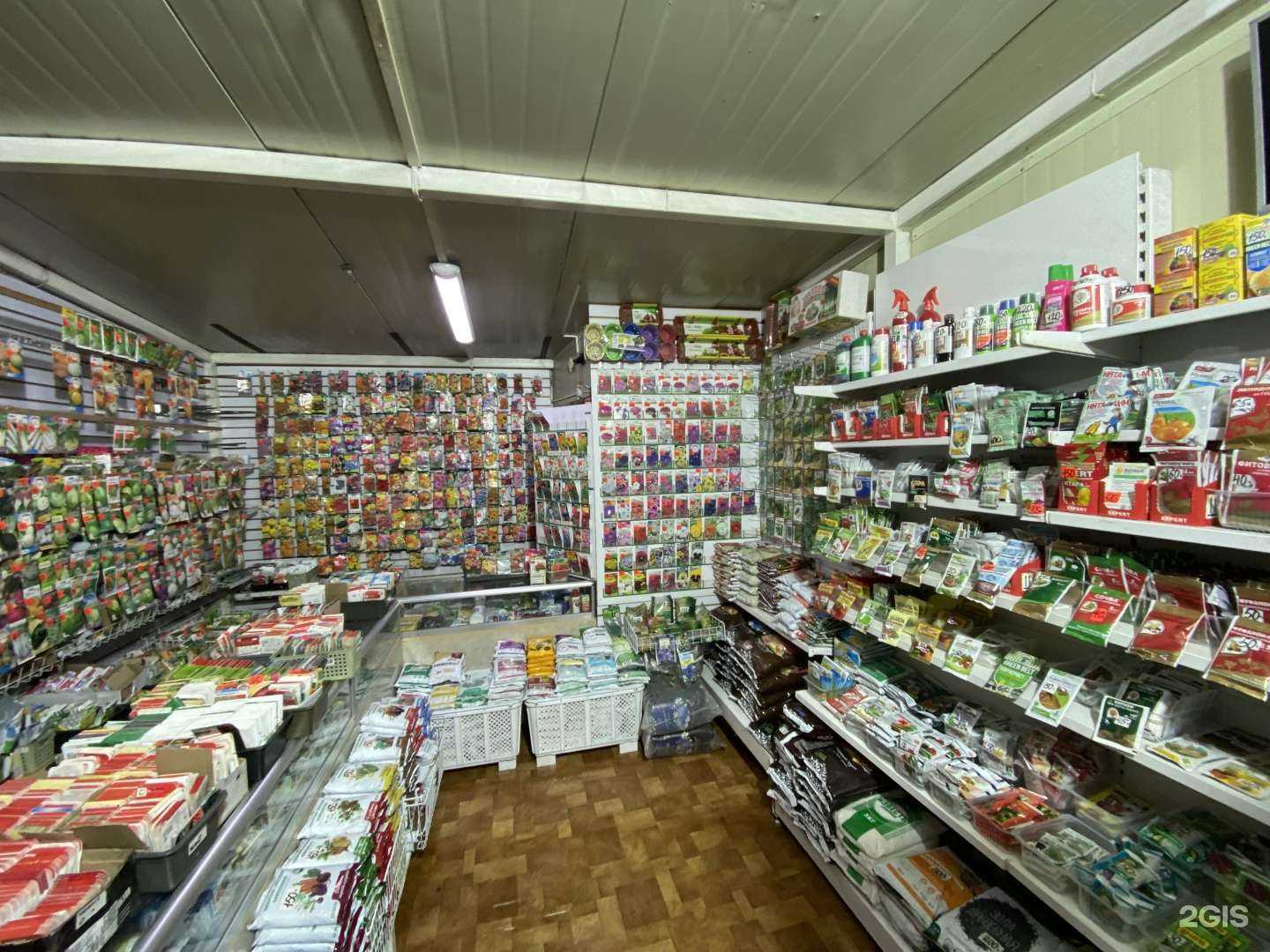 Отзывы на компанию Луковка в Елизове c фото