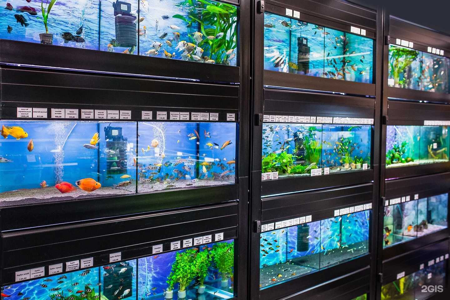 Отзывы на компанию Зоомагазин в г. Пермь c фото