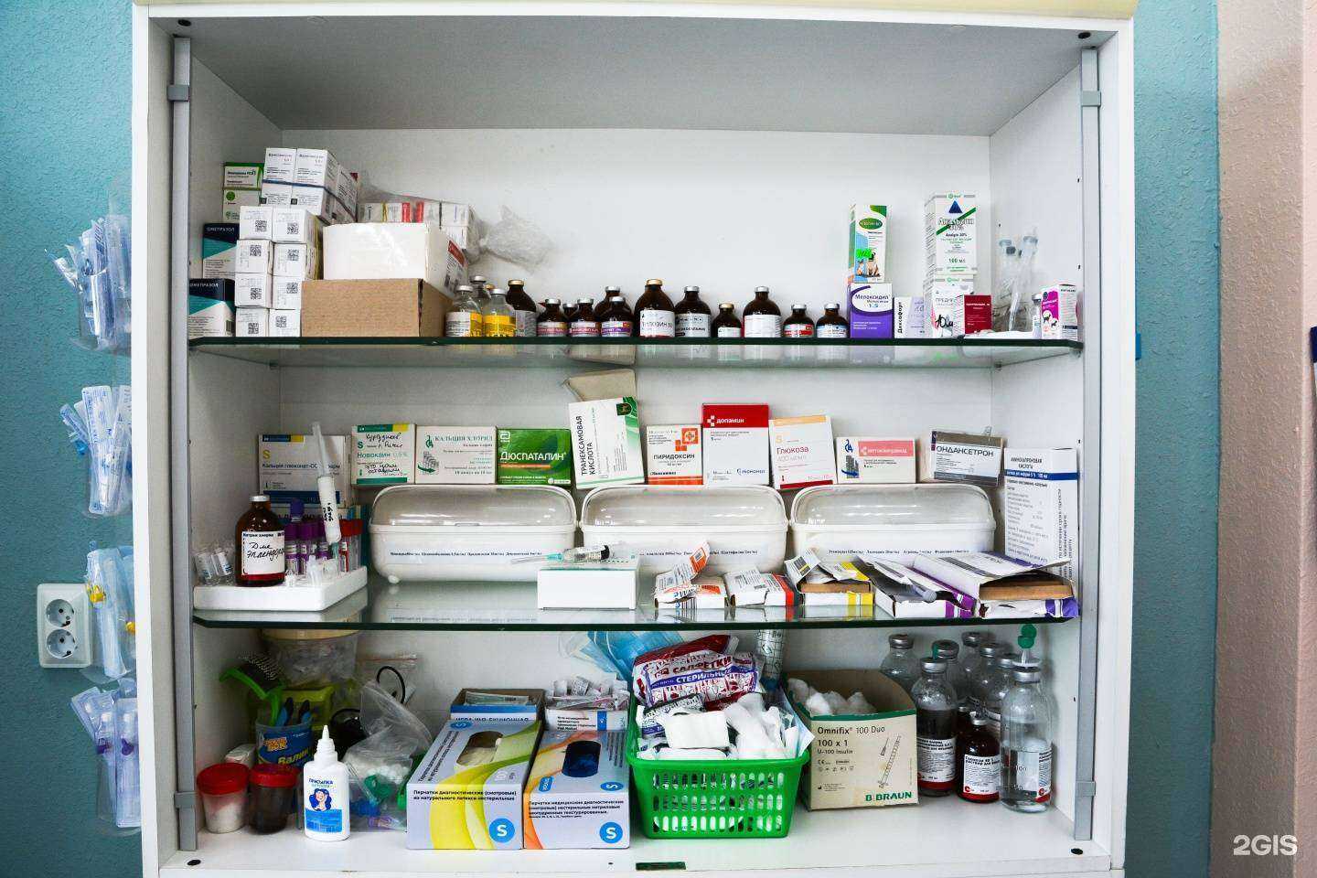 Отзывы на компанию Доктор Кусь в Воронеже c фото