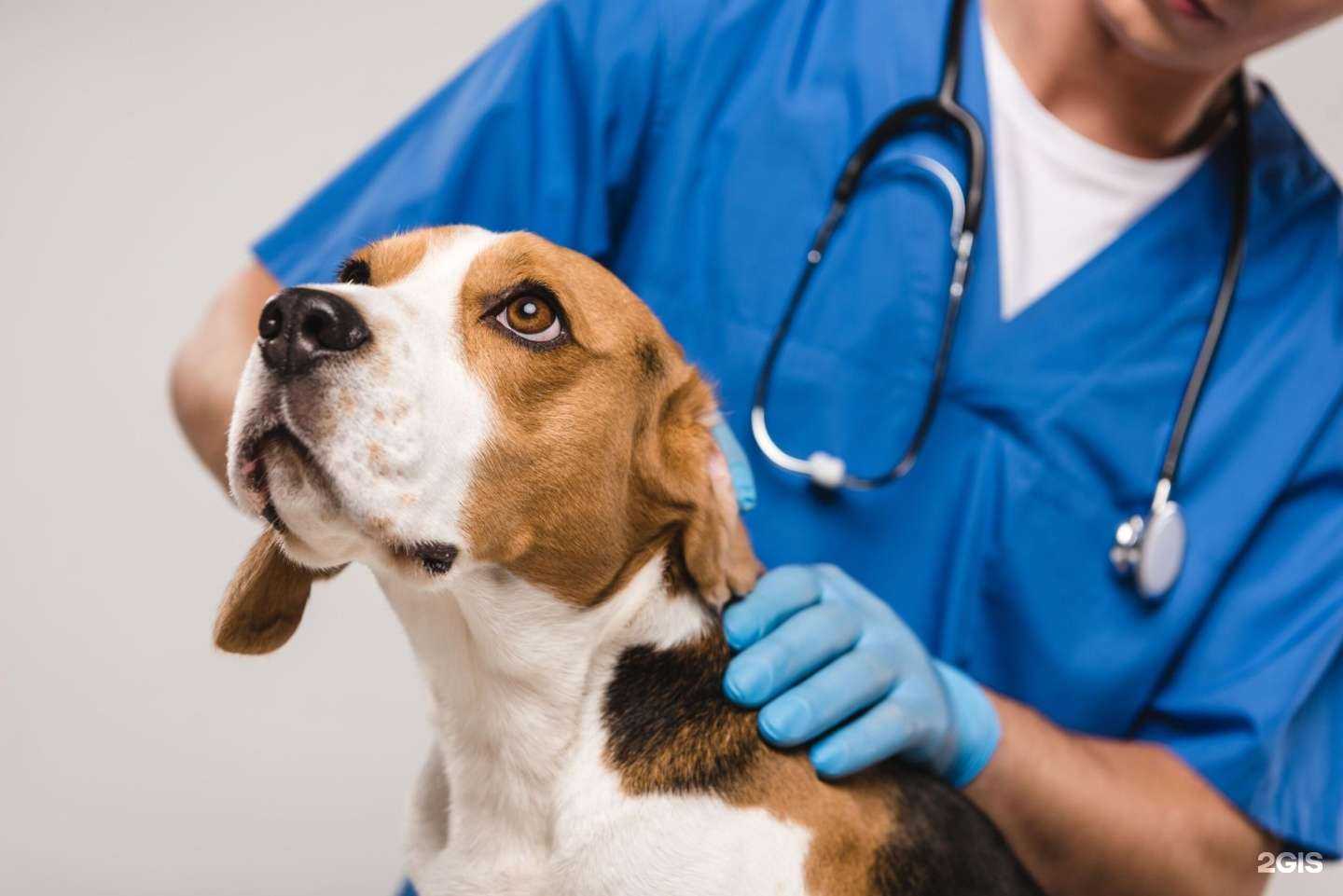 Отзывы на компанию Фауна в г. Комсомольск-на-Амуре c фото